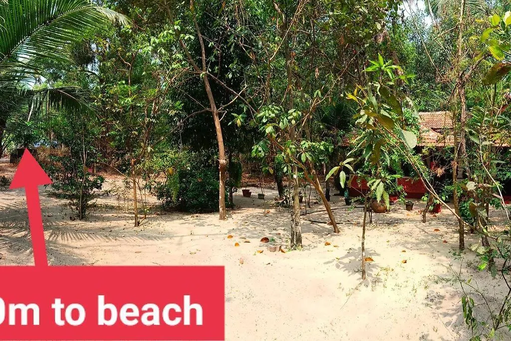 Abba Marari Beach Villas & Homestay Mararikulam Alappuzha